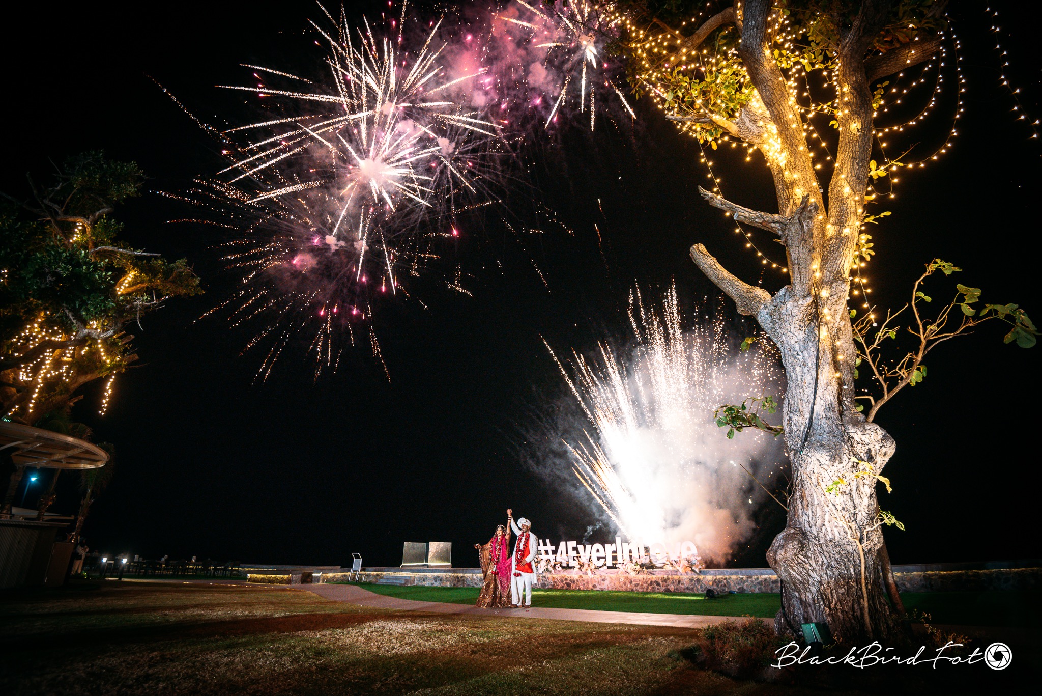 Wedding S&M photograph 38