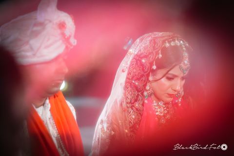 Wedding S&M photograph 23